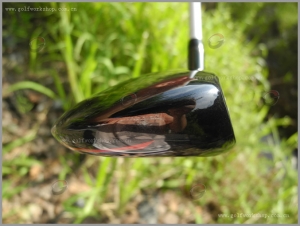 DSCN9316.jpg