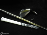 Golf WorkshopModifiedDG Spinner Golf Prideհ