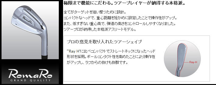 ROMAROޣRAY-M ְҵ