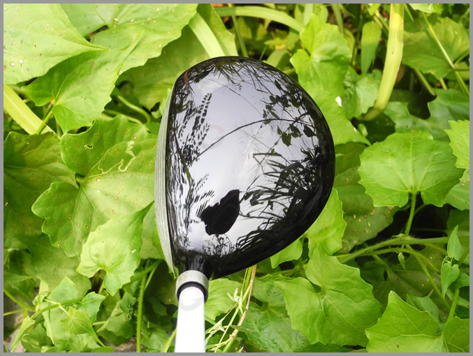 EPON NEW FW AF-202 ľ