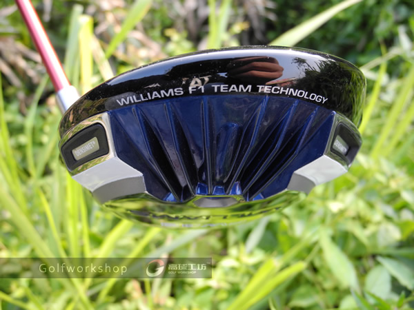 williamsѡ��ϵ��FW32 �����Ƽ�һ��ľ��ͷ