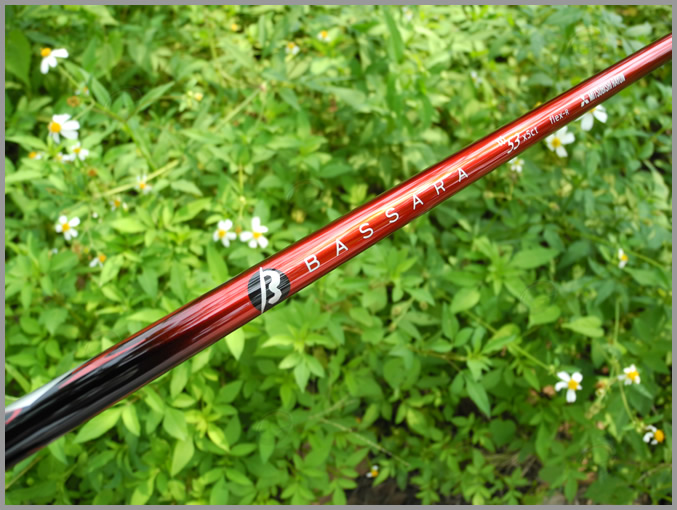 BASSARA W SERIES  ״ һľ