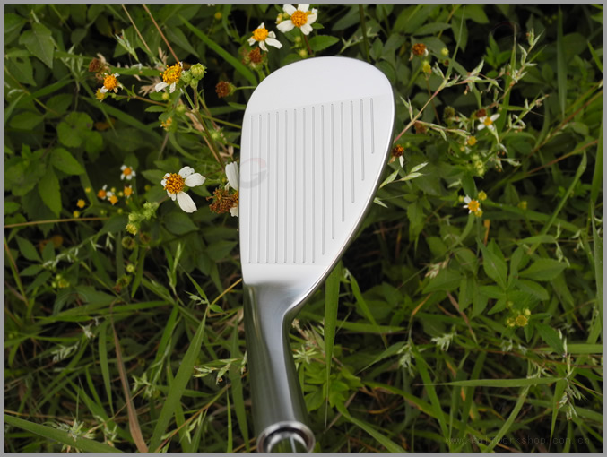 Miura Y-Grind Wedges ּ 