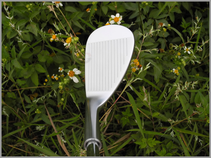 Miura C-Grind Wedges ּ ȫ ͷ