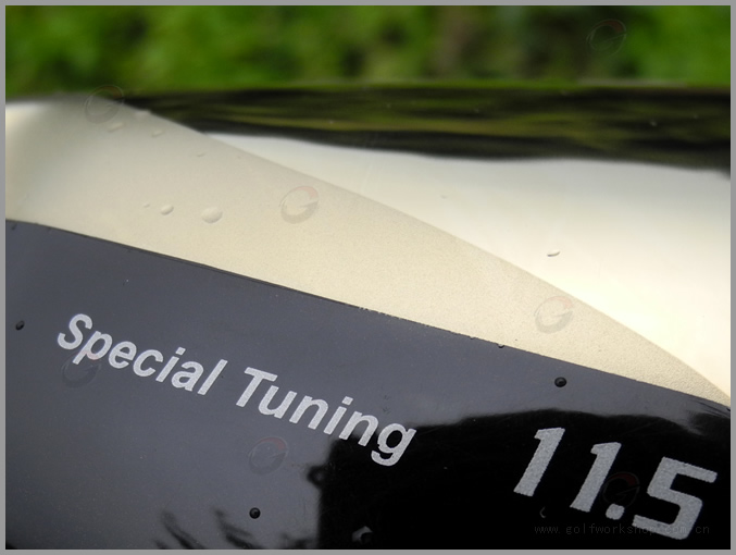 Ryoma() Special Tuning  һľͷ