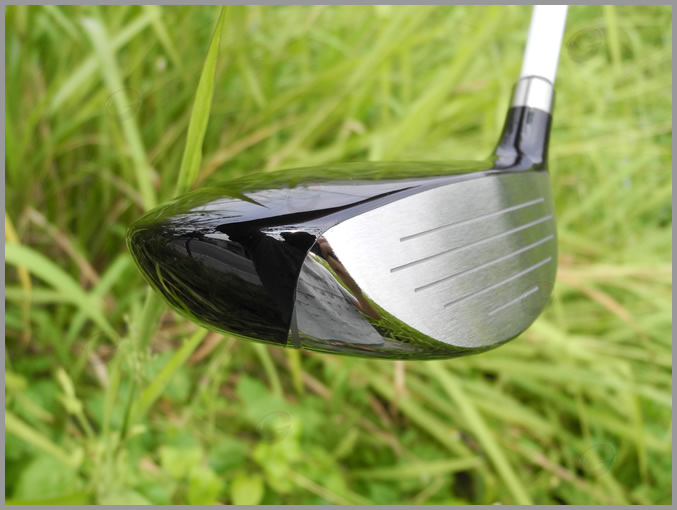 EPON NEW FW AF-202 ľ