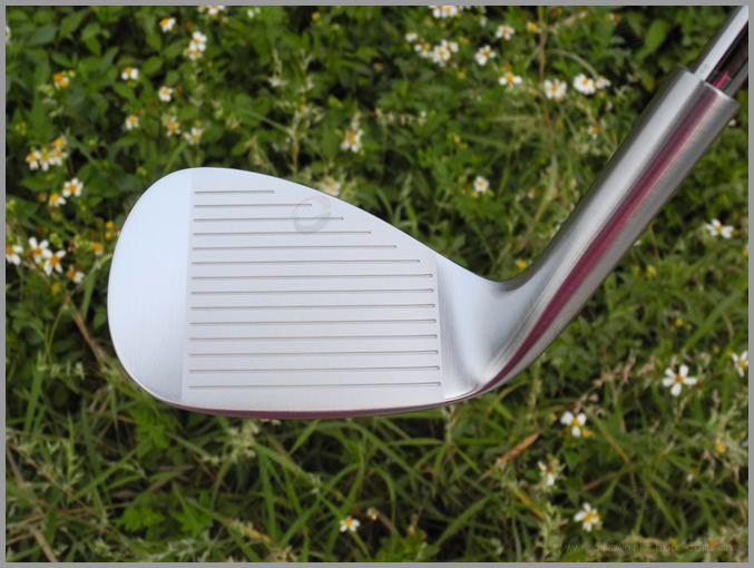 Miura Y-Grind Wedges ּ 